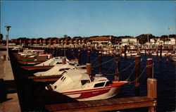 Dunedin Marina on Florida's Gulf Coast Postcard Postcard