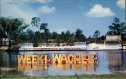 Weeki Wachee Postcard