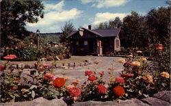 Toll Gate State Park, Mt. Kearsarge Postcard