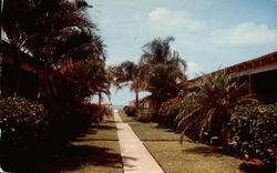 Alicia Motel and Apartments Postcard