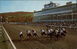 Green Mountain Park Racetrack Pownal, VT Postcard Postcard