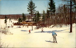 Christiania Trail Mount Telmark Ski Area Postcard