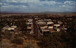 Bird's Eye View Postcard