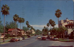 Davis Boulevard on Davis Island Tampa, FL Postcard Postcard