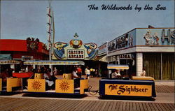 The Wildwoods by the Sea New Jersey Postcard Postcard