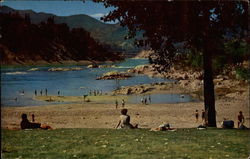 Beach at Gyro Park Postcard