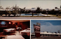 Flamingo Motel Harlingen, TX Postcard Postcard