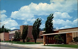 Post Office and Library Postcard