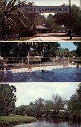 Venice Campgrounds Travel Trailer Park Florida Postcard Postcard