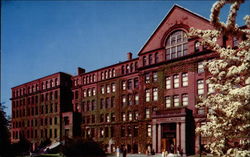 Harvard University Museum Postcard