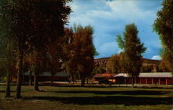 Island Acres Motel Postcard