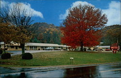 Carolina Motel Franklin, NC Postcard Postcard