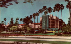 Beverley Hills Hotel Postcard
