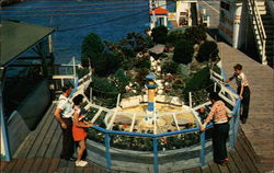 Wishing Well Postcard