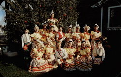 Part of the Apple Tree Family Postcard