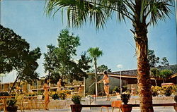 The Panorama Inn Silver Springs Shores, FL Postcard Postcard