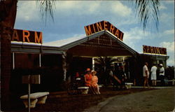 Warm Mineral Springs Venice, FL Postcard Postcard