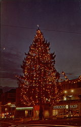 Champion Christmas Tree Tacoma, WA Postcard Postcard