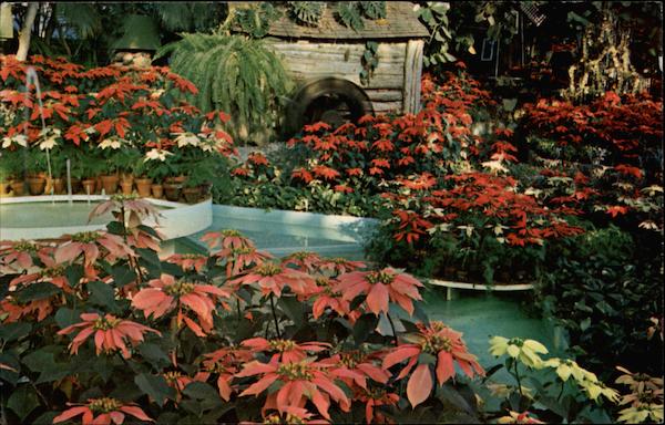 The Jewel Box In Forest Park St. Louis Missouri