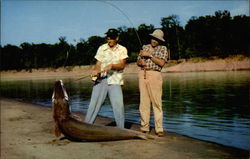 Garfish Arkansas Fishing Postcard Postcard