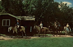 Horseback Riding at the State Game Lodge Postcard