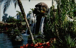 Pirate's Cove Postcard