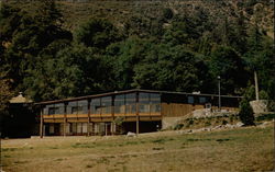 Pilgrim Pines Camp, Oak Glen Yucaipa, CA Postcard Postcard