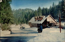 Alpine Covenant Conference Grounds Blue Jay, CA Postcard Postcard