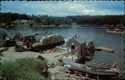 Typical Maine Fishing Village Postcard