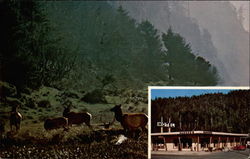 Hagood's Motel Postcard