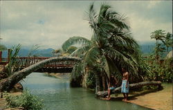 Two Young Polynesians Postcard