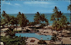 Jamaica Hilton Hotel Pool Postcard