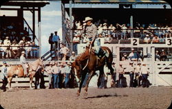 The Rodeo Rodeos Postcard Postcard