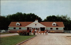 McLain's Zoo - Administration Building Postcard