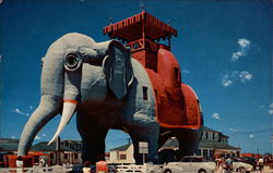 Elephant Hotel Postcard