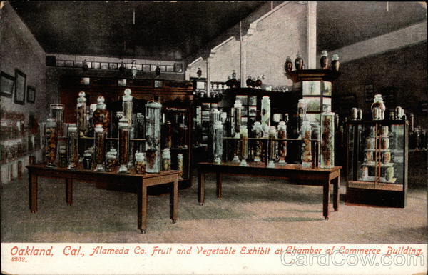 Alameda Co. Fruit and Vegetable Exhibit at Chamber of Commerce Building Oakland California