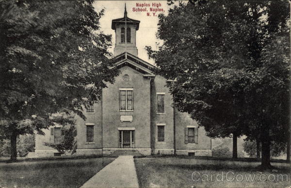 Naples High School New York