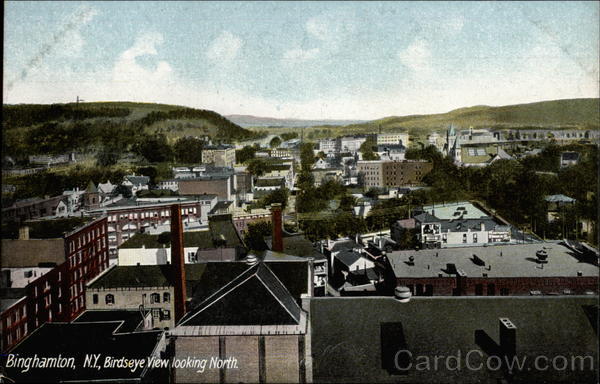 Birdseye View Looking North Binghamton New York