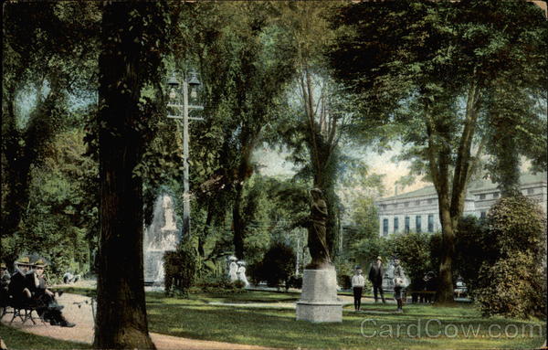 Strolling Under the Trees Syracuse New York
