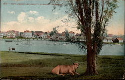 View Across Lake Merritt Postcard