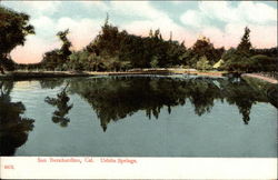 Urbita Springs San Bernardino, CA Postcard Postcard