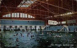 The Plunge Postcard