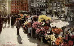 Street Flower Venors Postcard