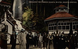 Drinking the Famous Shasta Water Postcard