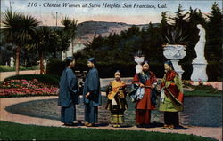 Chinese Women at Sutro Heights Postcard