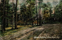 Roscoe Conkling Park Postcard