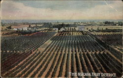 The Niagara Fruit District Ontario Canada Postcard Postcard