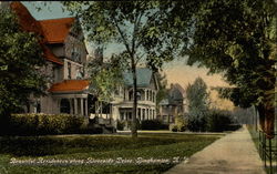 Beautiful Residences along Riverside Drive Binghamton, NY Postcard Postcard