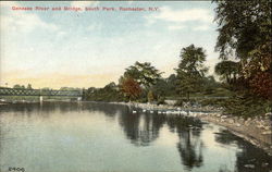 Genesee River and Bridge, South Park Postcard