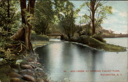 Red Creek At Genesee Valley Park Postcard